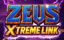 Zeus XTREME Link - Fugaso