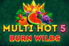 Multi Hot 5 Burn Wilds - St8_smartsoft_gaming