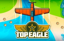 Top Eagle - St8_bgaming