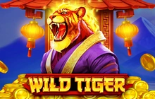 Wild Tiger - St8_bgaming