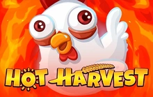 Hot Harvest - St8_penguin_king