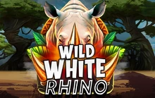 Wild White Rhino - St8_penguin_king