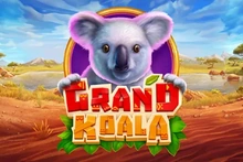 Grand Koala - St8_netgame_entertainment