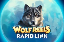 Wolf Reels: Rapid Link - St8_netgame_entertainment