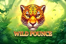 Wild Pounce - St8_evoplay_entertainment