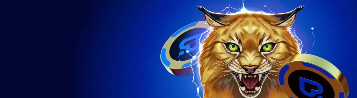 Play'n GO жаңа ойынындасолтүстік қазыналарысізді күтеді! - Pokerdom